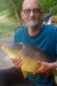 Mirror Carp