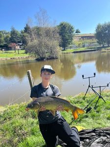 Common Carp