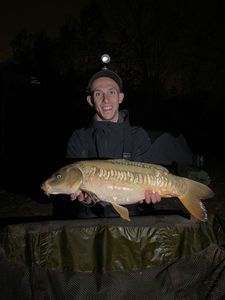 Mirror Carp