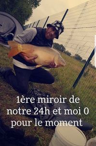 Mirror Carp