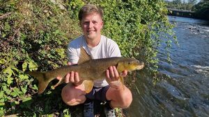 Barbel