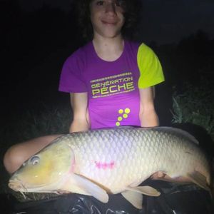 Common Carp