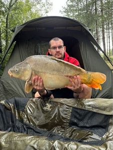 Mirror Carp