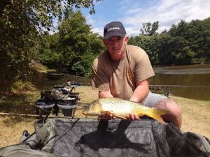 Common Carp