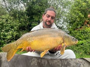 Mirror Carp