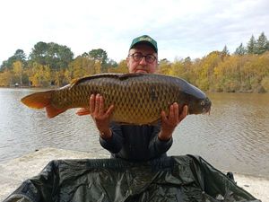 Red Bandfish