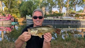Largemouth Bass