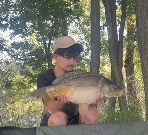 Mirror Carp