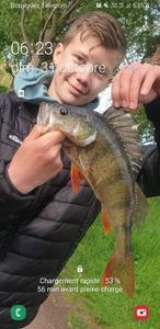European Perch