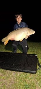 Mirror Carp
