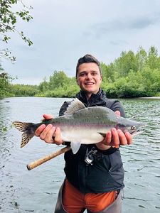 Pink Salmon