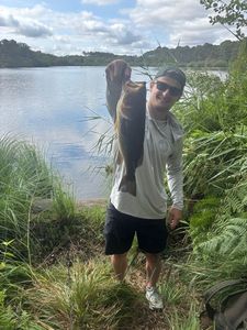 Largemouth Bass