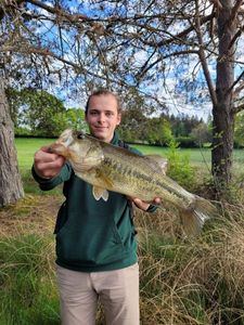 Largemouth Bass