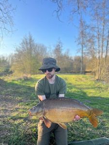 Mirror Carp