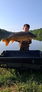 Mirror Carp