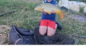 Mirror Carp