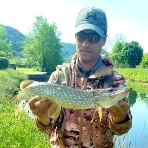 Northern Pike
