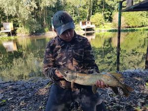 Northern Pike