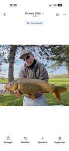 Common Carp