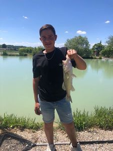 Largemouth Bass