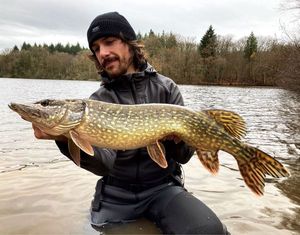 Northern Pike