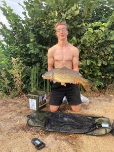 Common Carp