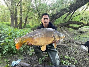 Mirror Carp