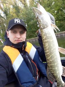 Northern Pike