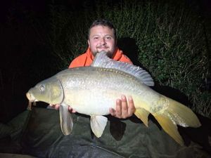 Mirror Carp
