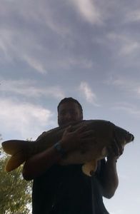 Leather Carp