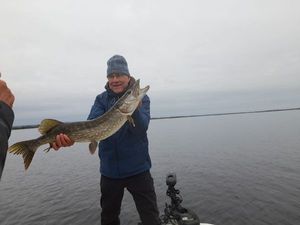 Northern Pike