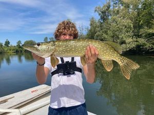 Northern Pike