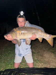 Mirror Carp