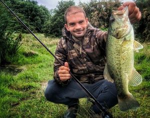 Largemouth Bass