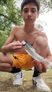 Rainbow Trout