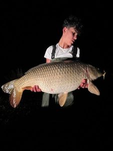 Mirror Carp