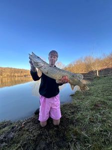Northern Pike