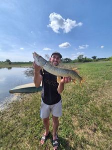 Northern Pike