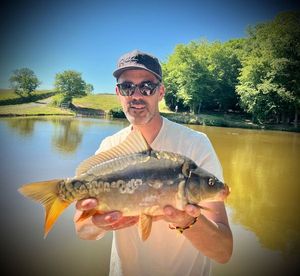 Mirror Carp