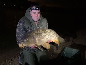 Common Carp