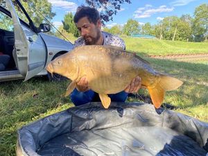 Mirror Carp