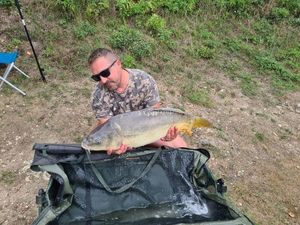 Mirror Carp