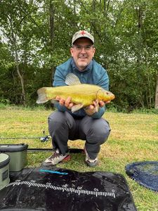 Tench