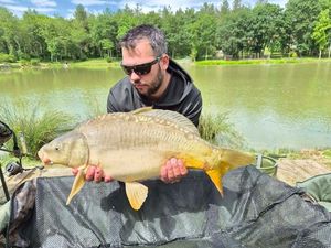 Mirror Carp