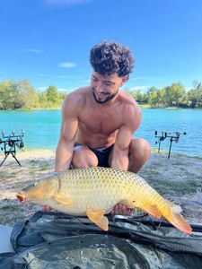 Common Carp