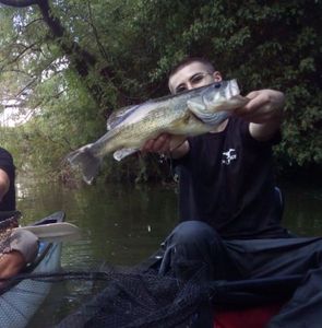 Largemouth Bass