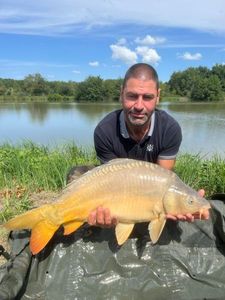 Mirror Carp