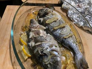 Gilthead Seabream