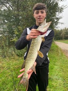 Northern Pike