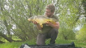 Mirror Carp